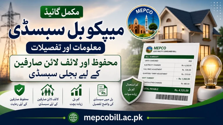 MEPCO Bill Subsidy